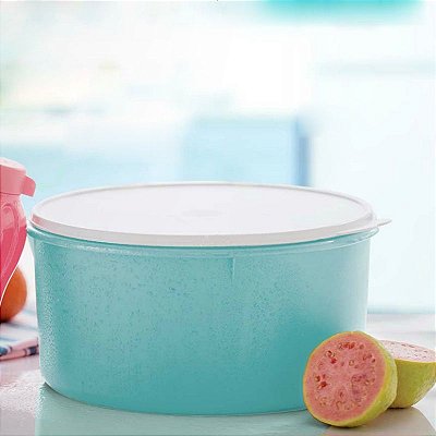 Tupperware Porta Tudo 10 Litros Verde Mint