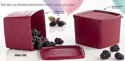 Kit Tupperware Jeitoso Marsala 800ml 2 peças