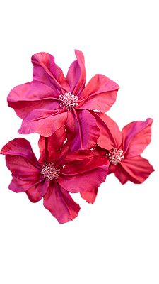 JC Fivela Broche MAX Alice Pink