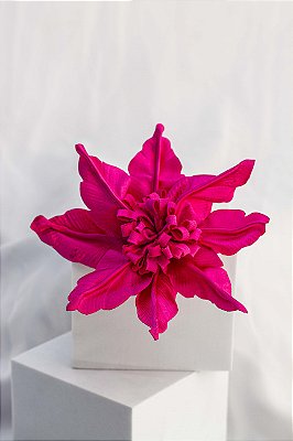 JC Flor Deise Rosa