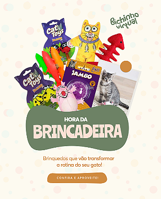 Brinquedos de gatos