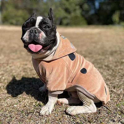 Blusa para Cachorros e Gatos Scooby-Dog