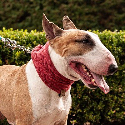 Gola de Tricot para Cachorros e Gatos Canela