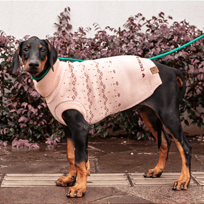 Tricô para Cachorros e Gatos Gola Alta Graceful