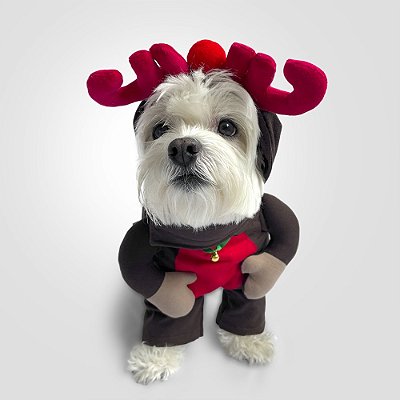 Fantasia de Bracinhos para Cachorros Rena de Natal