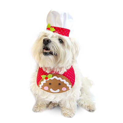 Fantasia de Natal para Cachorros e Gatos Biscoito de Gengibre Fofo