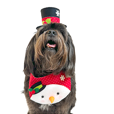 Fantasia de Natal para Cachorros e Gatos Boneco de Neve Fofo