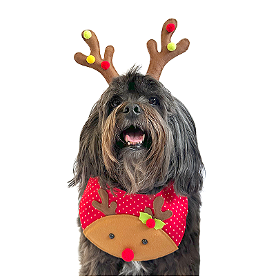 Fantasia de Natal para Cachorros e Gatos Rena Fofa