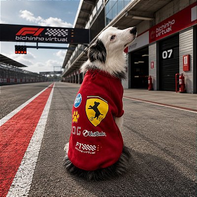 Roupinha Pet Moletom Sem Capuz para Cachorros F1 BV Racing
