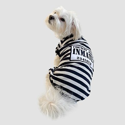 Regata para Cachorros Presidiário