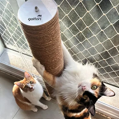 Arranhador para Gatos Vertical de Papelão CatDance Plug com Ventosas