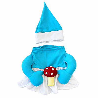 Fantasia para Cachorros Inspiração Smurfs com Vestido