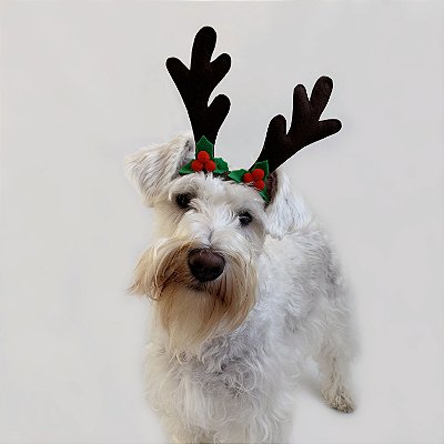 Fantasia de Natal para Cachorros e Gatos Chifres de Rena com Detalhes