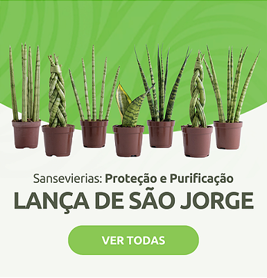 Lança de São Jorge