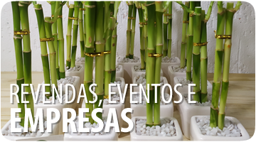 Revendas, Eventos e Empresas