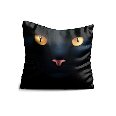 Almofada 35x35 Halloween Pantera