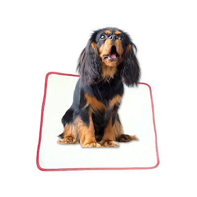 Tapete Higiênico Lavável Para Pet - Conforto e Praticidade Tamanho / Cor:Vermelho M
