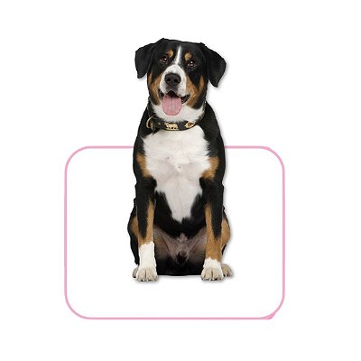 Tapete Higiênico Lavável Para Pet - Conforto e Praticidade Tamanho / Cor:Rosa M
