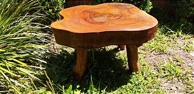 Mesa de Centro De Tronco De Madeira Canela