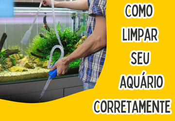 Limpeza