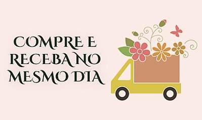 3 - Entrega no mesmo dia