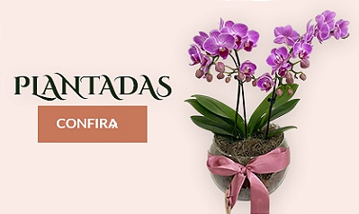 2 - Plantadas