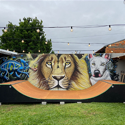 MINI RAMP 5,5m x 2,5m x 0,80m