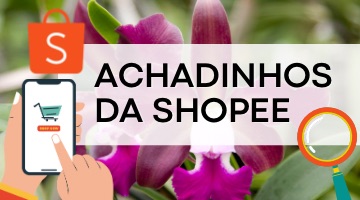 Shopee mini