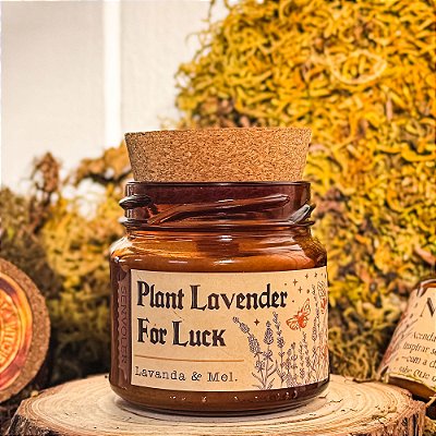 Plant Lavender for Luck Nº 7  - Lavanda e Mel 110g