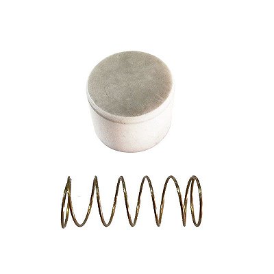 Kit Reparo Válvula de Retenção 1 Pol - Schulz CSL 30 BR / MSV 30 e 40 Max (022.0036-8/AT)