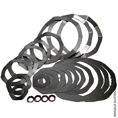 Kit de Palhetas Schulz MSWV 60 Fort / Wayne W900 (34005501/AT)