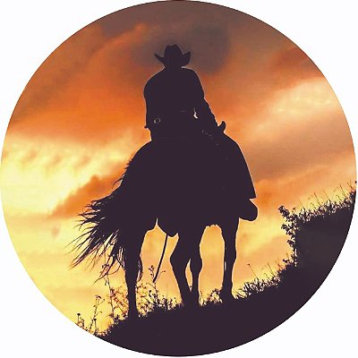 Capa Personalizada para Estepe Ecosport Crossfox Cowboy 3
