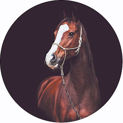 Capa Personalizada para Estepe Ecosport Crossfox Cavalo