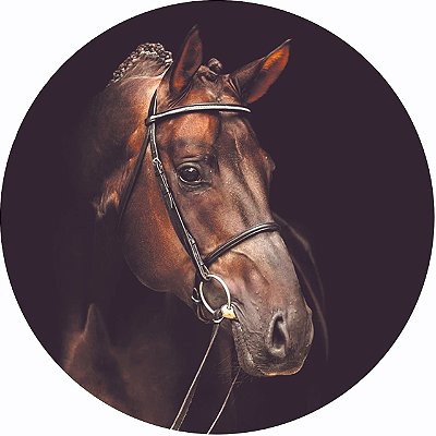 Capa Personalizada para Estepe Ecosport Crossfox Cavalo