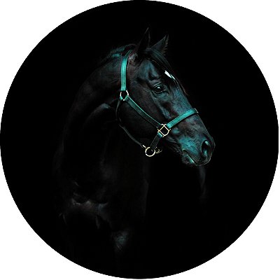 Capa Personalizada para Estepe Ecosport Crossfox Cavalo Preto