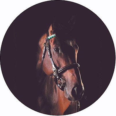 Capa Personalizada para Estepe Ecosport Crossfox Cavalo