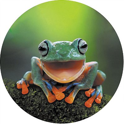 Capa de Estepe Personalizada para Ecosport Crossfox Rã