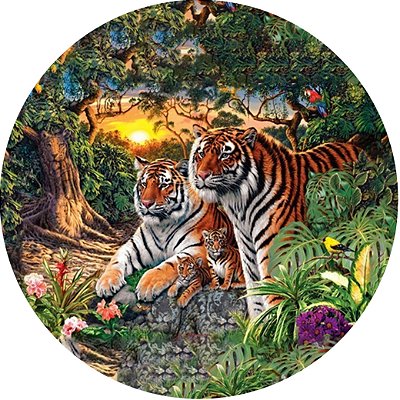 Capa Personalizada para Estepe Ecosport Crossfox Aircross Tigres