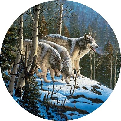 Capa Personalizada para Estepe Ecosport Crossfox Três Lobos