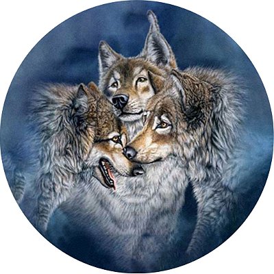 Capa Personalizada para Estepe Ecosport Crossfox Lobos
