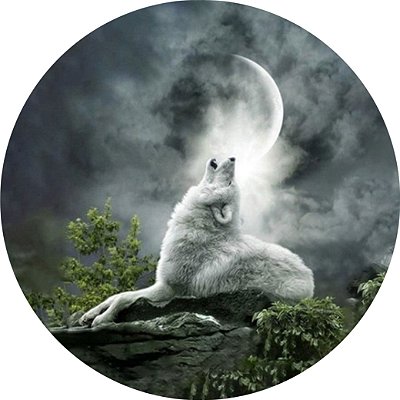 Capa Personalizada para Estepe Ecosport Crossfox Lobo ao Luar
