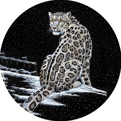 Capa Personalizada para Estepe Ecosport Crossfox Onça