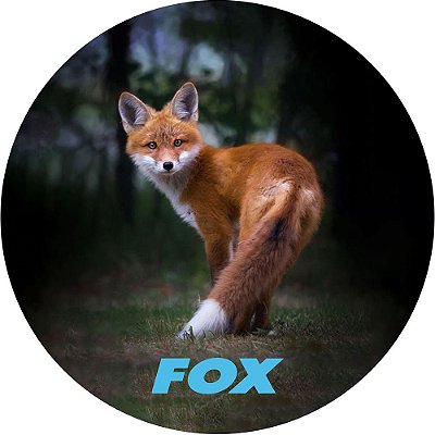 Capa para Estepe Pneu Personalizada Especial Crossfox Fox 9