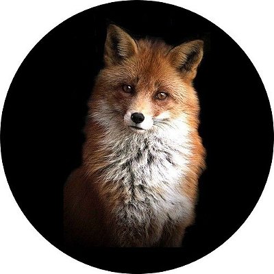 Capa para Estepe Pneu Personalizada Especial Crossfox Fox Raposa 3