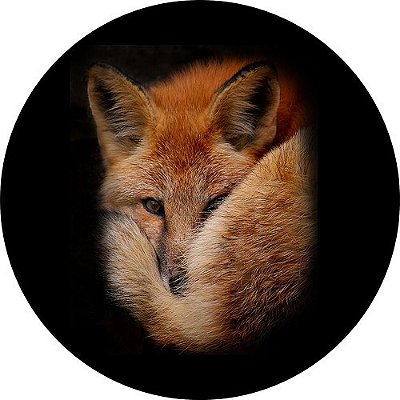 Capa para Estepe Pneu Personalizada Especial Crossfox Fox Raposa 8