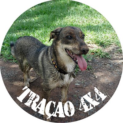 Capa de Estepe  Personalizada para Ecosport Crossfox Aircross Vira-Lata Caramelo 3
