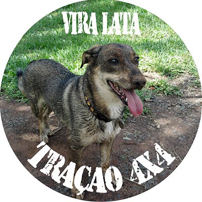 Capa Personalizada para Estepe Ecosport Crossfox Vira-Lata Caramelo 4