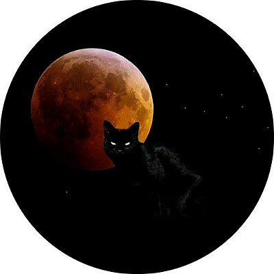Capa Personalizada para Estepe Ecosport Crossfox Felino Gato e Lua