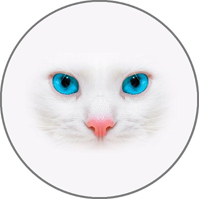 Capa Personalizada para Estepe Ecosport Crossfox Felino Gato Branco