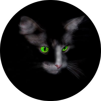 Capa Personalizada para Estepe Ecosport Crossfox Aircross Felino Gato